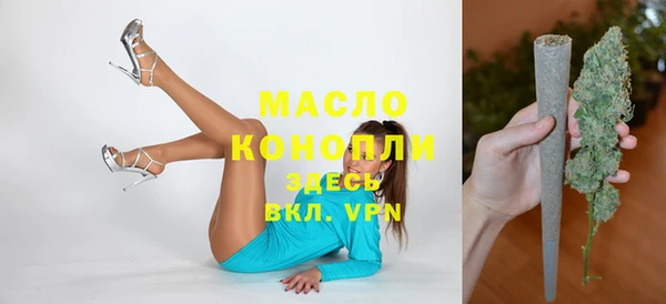 винт Галич