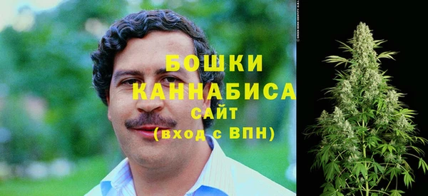 твердый Гатчина